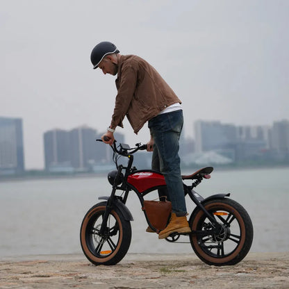 Hidoes B10 | Electric Bicycle