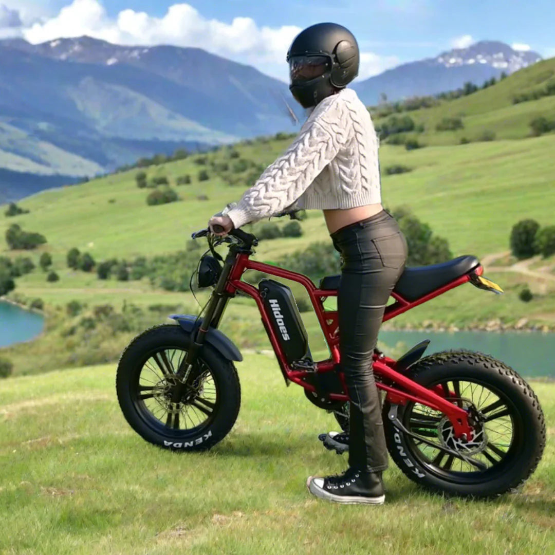 Hidoes B6 | Electric Bicycle