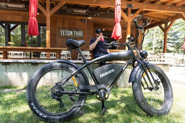 Hidoes B3 | Electric Bicycle