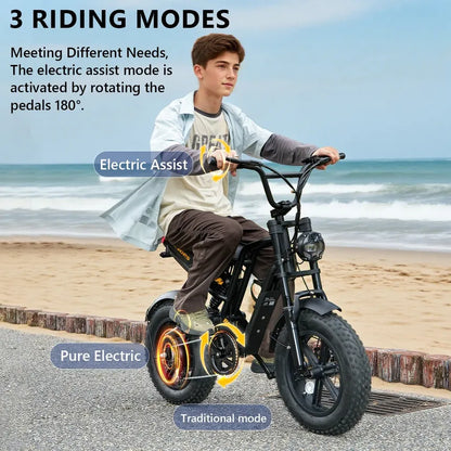 Hidoes B6 Mini | Electric Bicycle