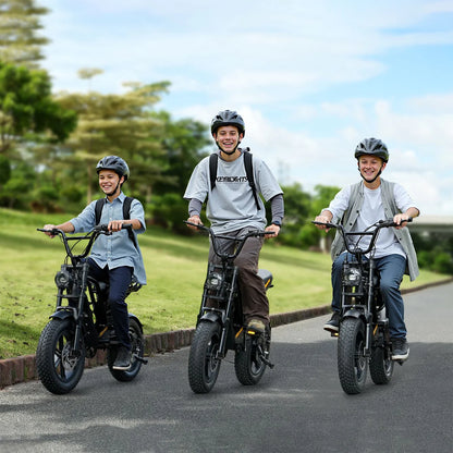 Hidoes B6 Mini | Electric Bicycle