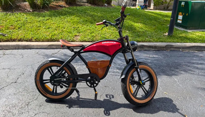 Hidoes B10 | Electric Bicycle