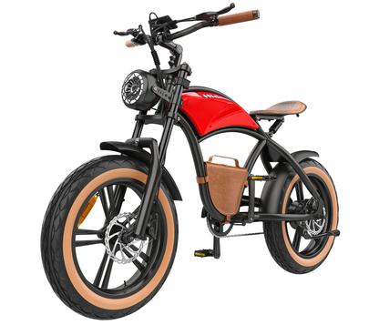 Hidoes B10 Electric Bike