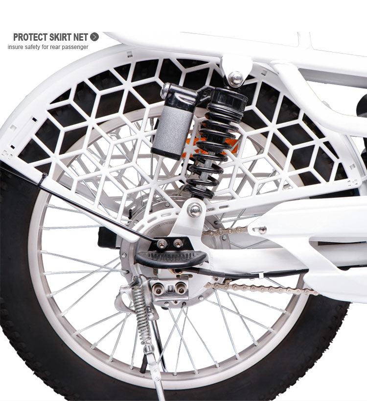 TAIQI Electric Passenger Bike