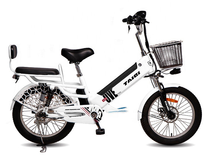 TAIQI Electric Passenger Bike